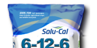 fertilizer