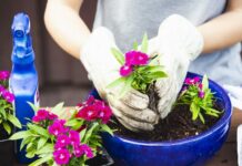 pesticide regulation