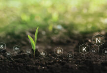 Soil Report