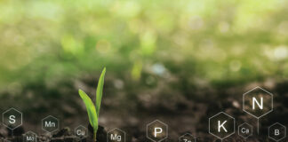 Soil Report