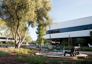 outdoor areas