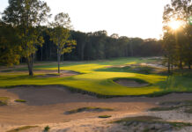American Dunes
