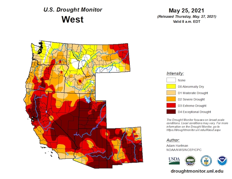 drought