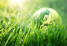 turfgrass