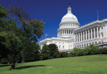 government sector