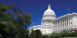 government sector