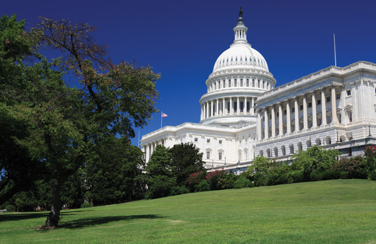 government sector