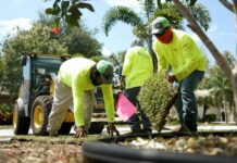 Sod Solutions