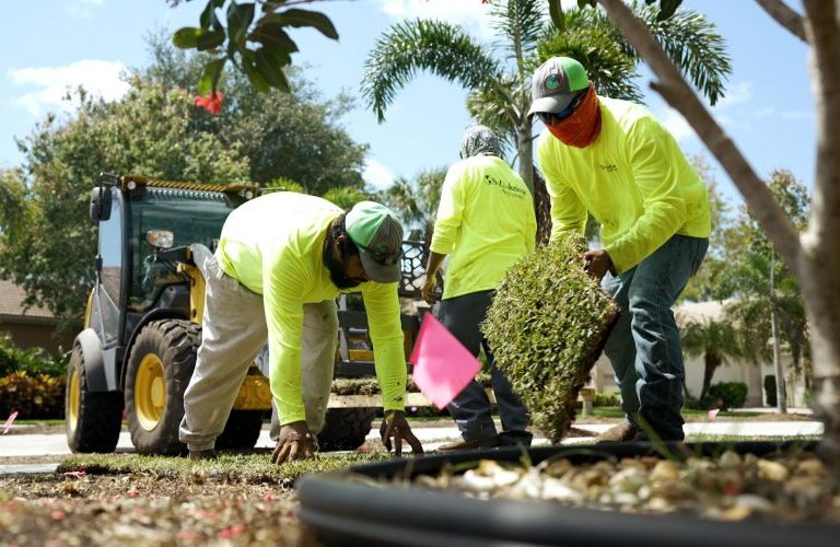 Landscape Renovations