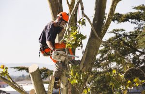 OSHA