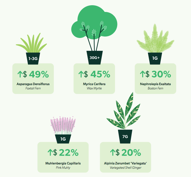 plant shortages