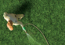 Sedge Control