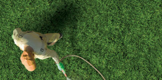 Sedge Control
