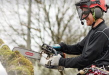 Chainsaw Maintenance