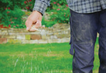 fall fertilizer