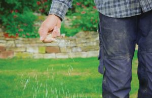 fall fertilizer