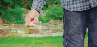 fall fertilizer