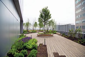 NYU Langone Health