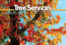 tree care