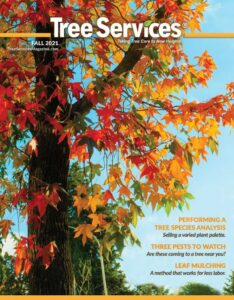 tree care
