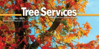 tree care