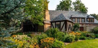 landscape contractors