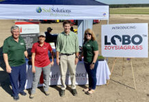 Zoysiagrass