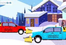 insurance
