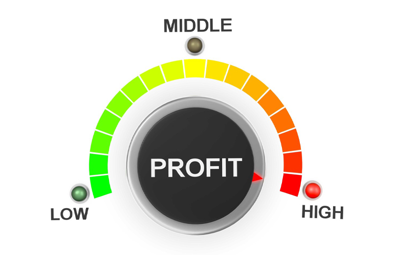 Business Profits