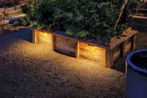Landscape Lighting