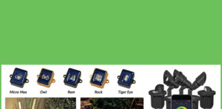 Landscape Lighting