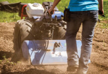 soil