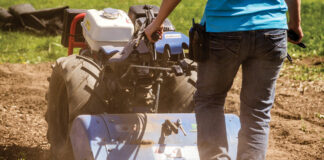 soil