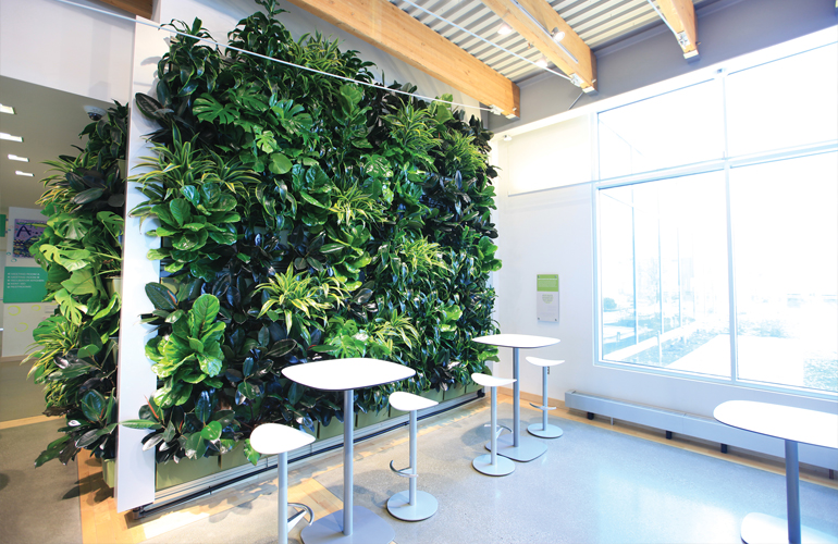 Interiorscaping