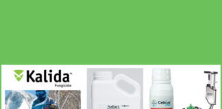 Pesticides