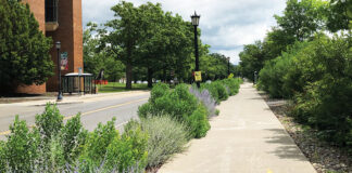 Sustainable Landscapes Trail