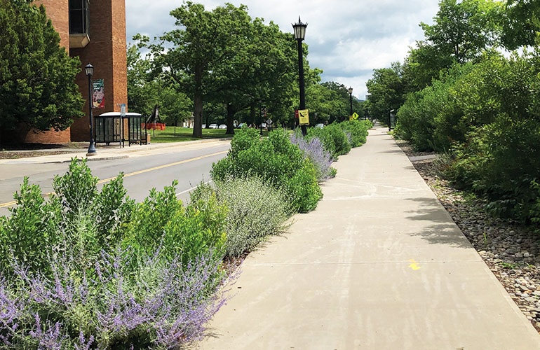 Sustainable Landscapes Trail