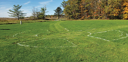Sustainable Landscapes Trail