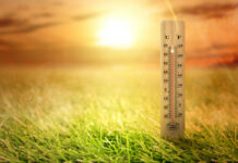 Heat Safety