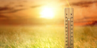 Heat Safety