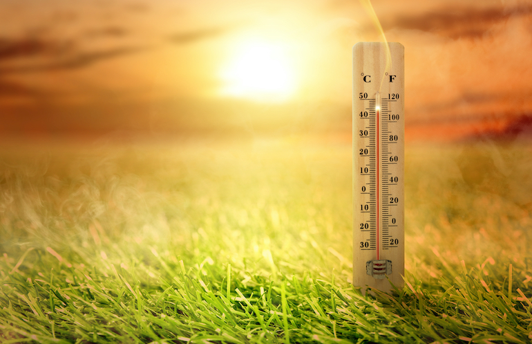Heat Safety