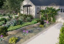 Landscape Design Trends