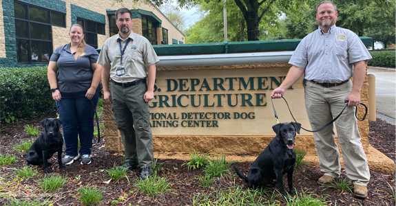 detector dog