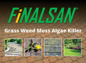 Finalsan