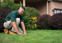 turf disease control