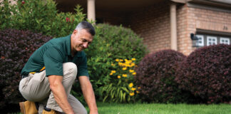 turf disease control