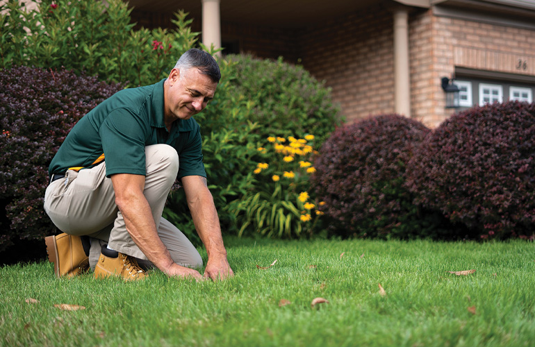 turfgrass challenges