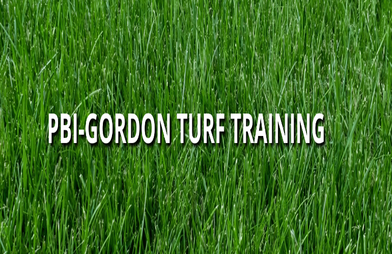 PBI Gordon