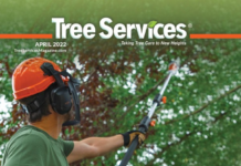 Tree Care