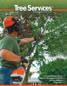 tree services